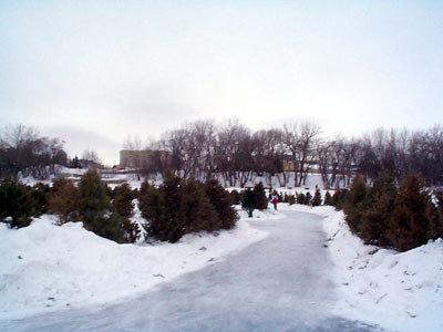 skate maze