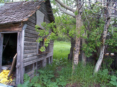 farm