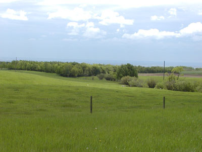 farm