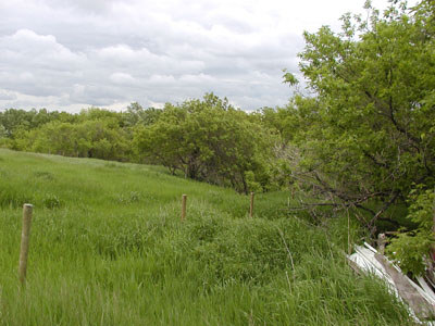 farm