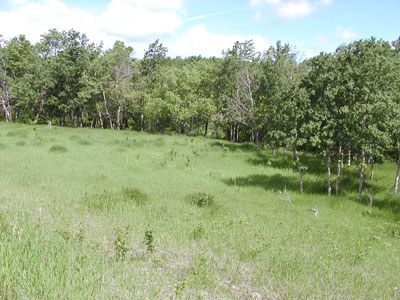 farm